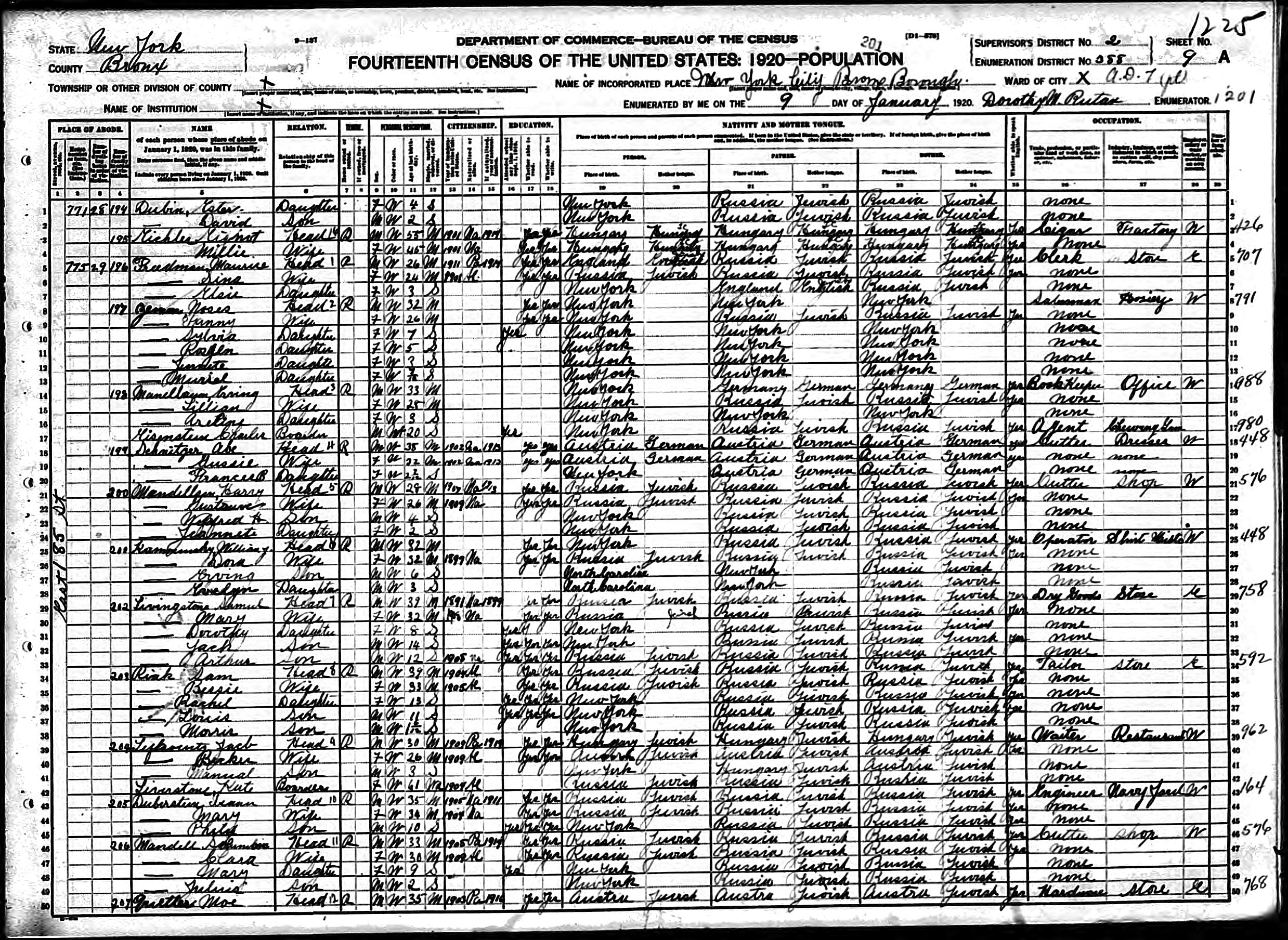 1920 US census Moses Zemon family