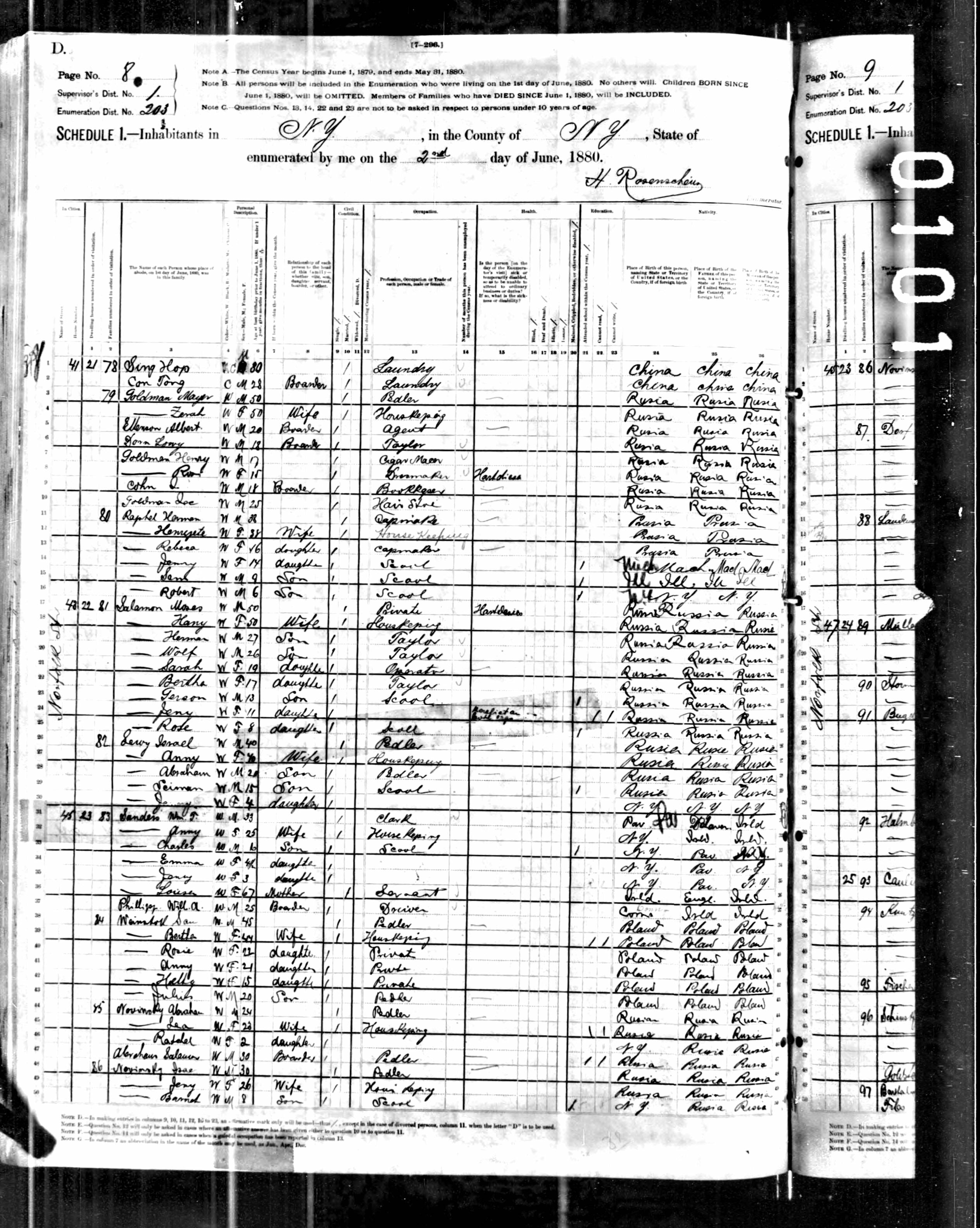 1880 US census Rose Goldman with family