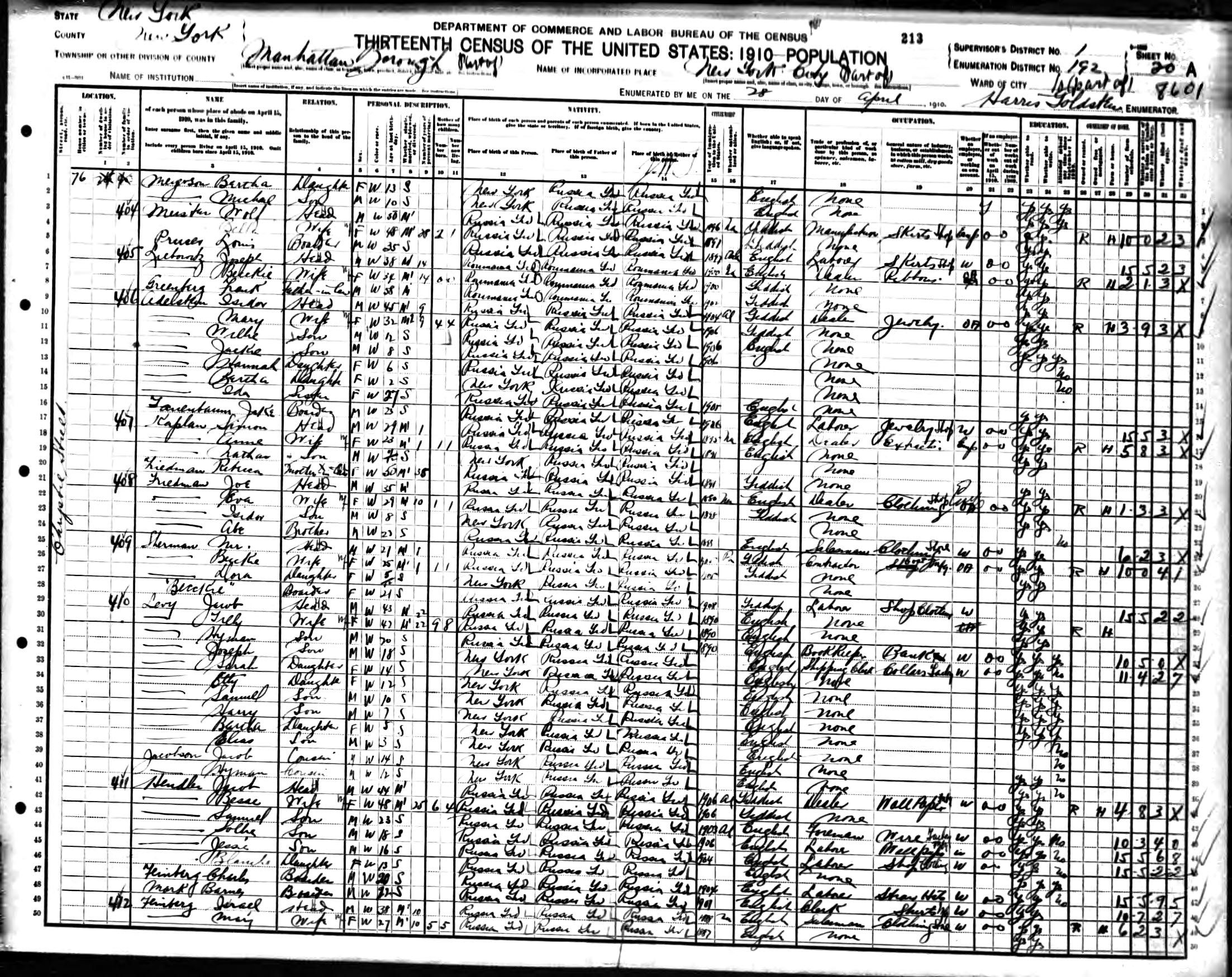 1910 US Census Levy family