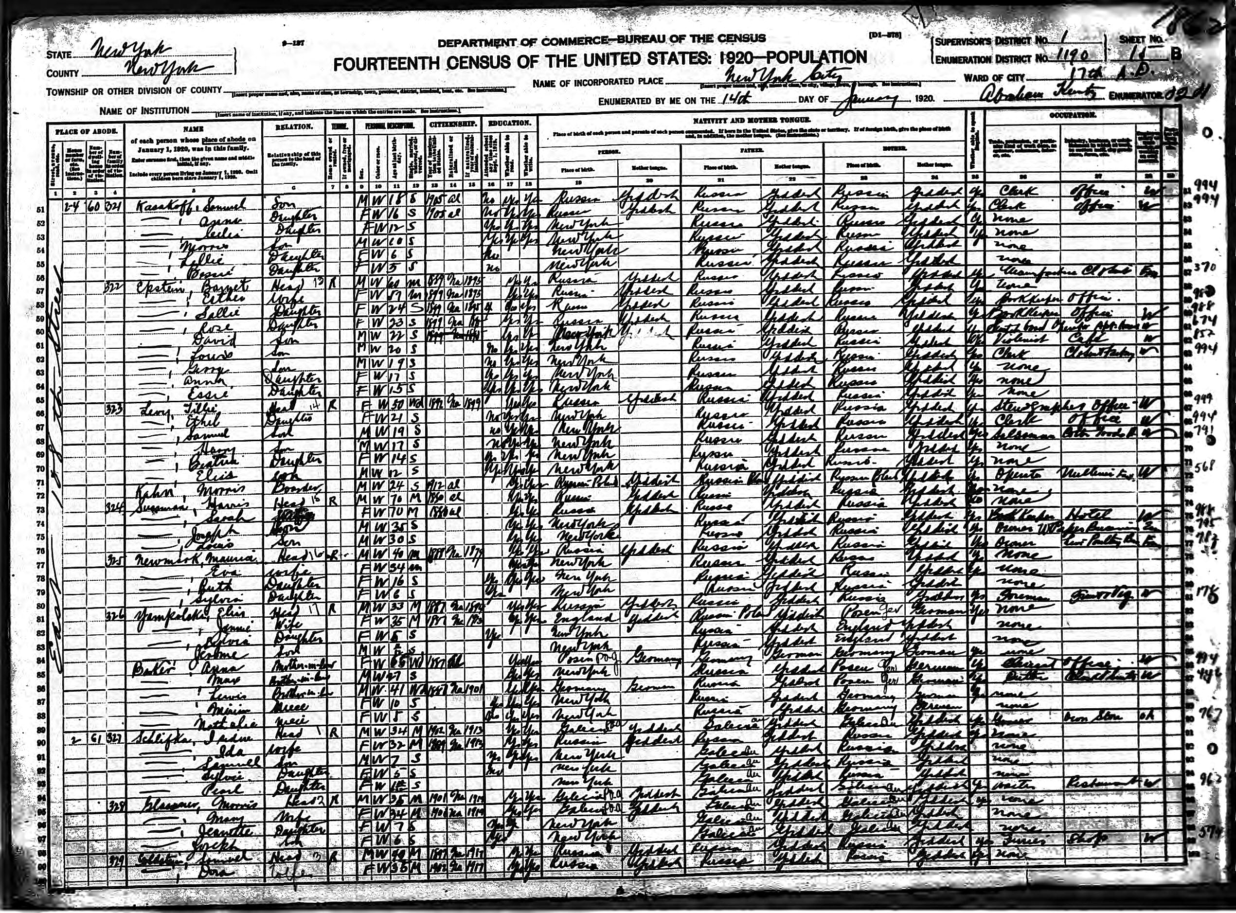 1920 US census Levy family