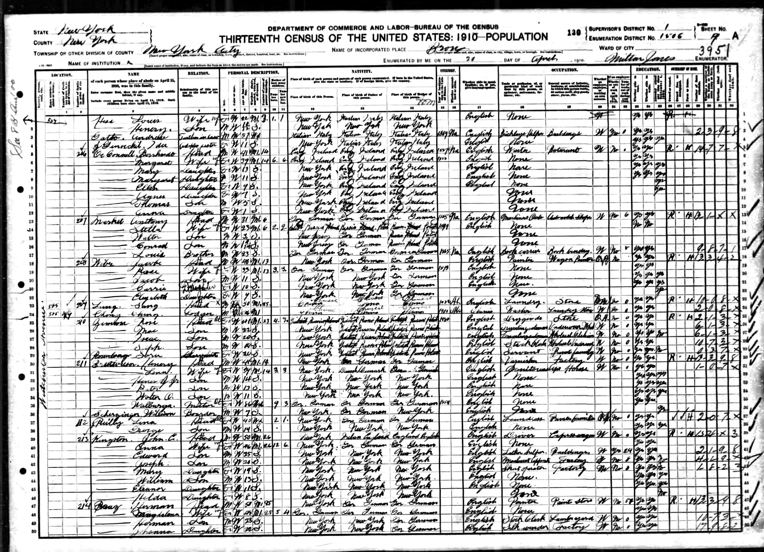 1910 US census Rose Zemon family