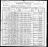 1900 US census Nathan Herzog family