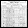 1900 NY census